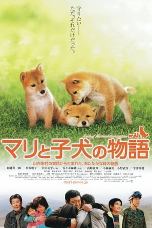 A Tale of Mari and Three Puppies (Mari to koinu no monogatari) เพื่อนซื่อ… ชื่อ มาริ (2007)