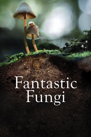 Fantastic Fungi เห็ดมหัศจรรย์ (2019)