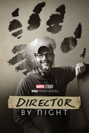 Director by Night (2022) บรรยายไทย